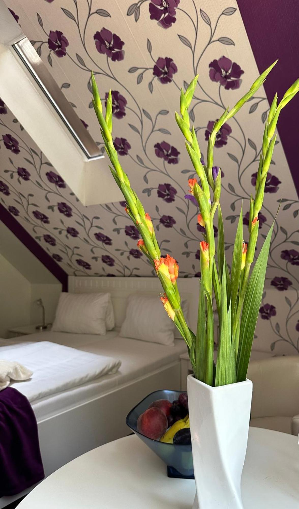 Wellness Penzion Harmonie Rohanov Прахатице Екстериор снимка